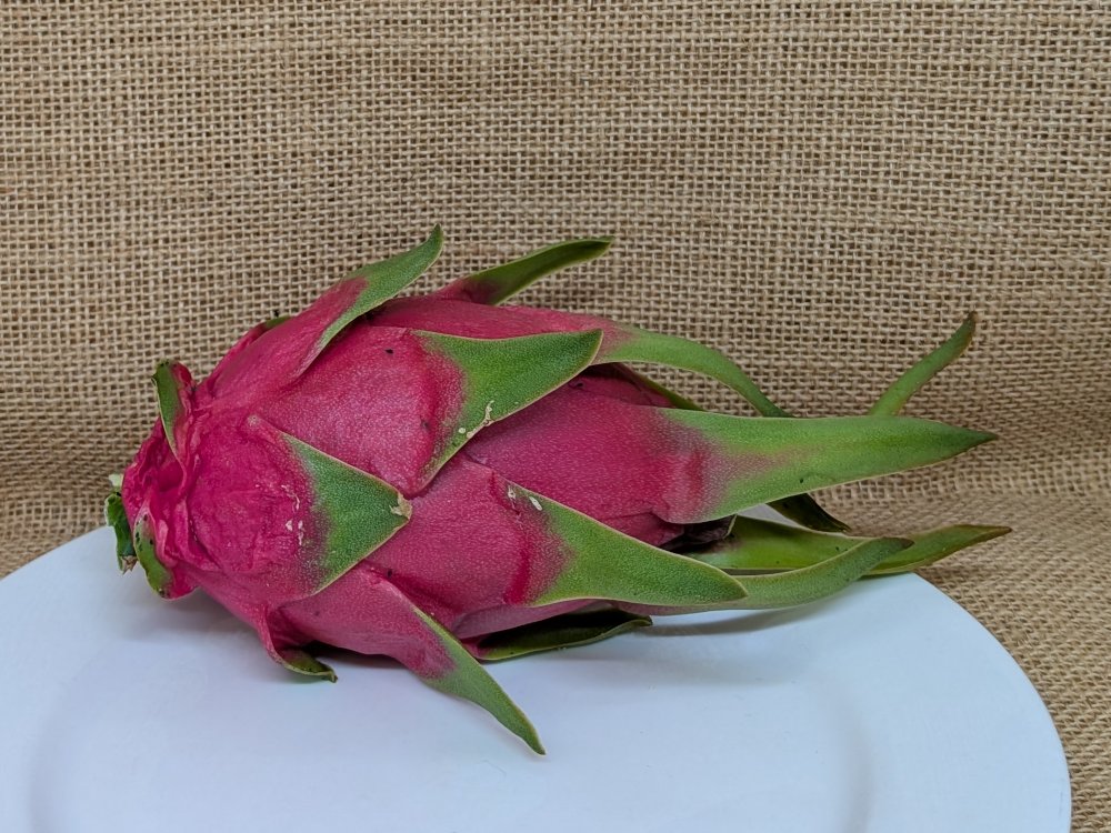 Chameleon dragon fruit whole